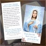 Medjugorje Monthly Message Back of Book Mark Card Display image