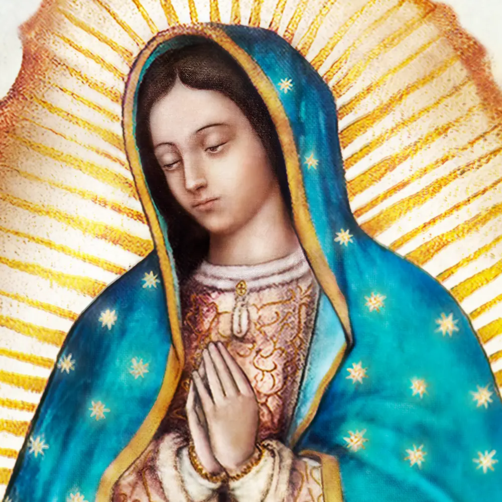 Our Lady of Guadalupe Display Image