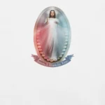 Picture of The Divine Mercy Image on a t-shirt-white